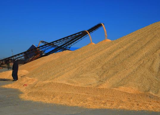 �Zʳ�a�N�l(f��)�ŵ����������φ᣿�Zʳ�a�N��һ��ɴΆ�