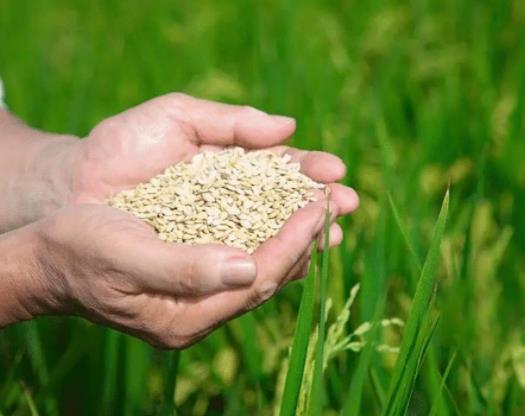 �r(n��ng)��Zʳ�a�Nһ�����a�����X���Zʳ�a�N�l(f��)�ŵ��l�Ŀ���