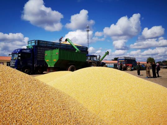 �r(n��ng)��Zʳ�a�Nһ�����a�����X���Zʳ�a�N�l(f��)�ŵ��l�Ŀ���