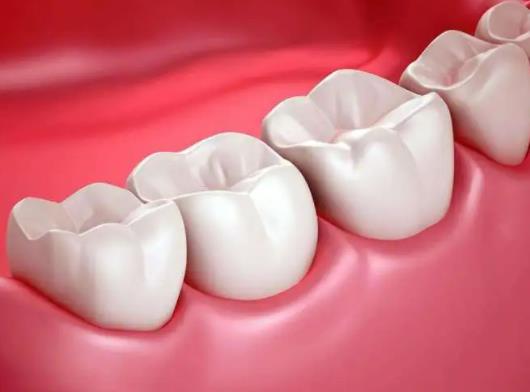 �Nֲ����2980Ԫ���V�᣿2023��Nֲ�����Լ{���t����