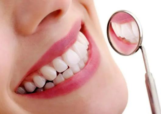 �Nֲ����2980Ԫ���V�᣿2023��Nֲ�����Լ{���t����