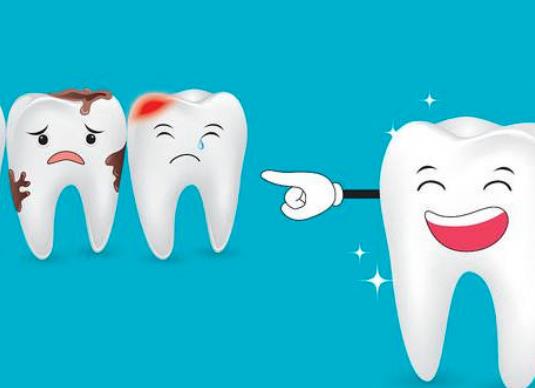 �Nֲ����2980Ԫ���V�᣿2023��Nֲ�����Լ{���t����