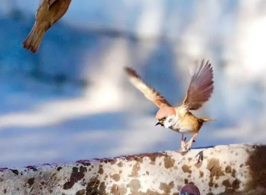 2023�c����ʲô�r��������⣿2023���c������ǰ�����IЬ߀�Ǻ����