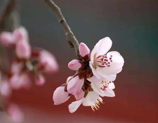 2023�c����ʲô�r��������⣿2023���c������ǰ�����IЬ߀�Ǻ����