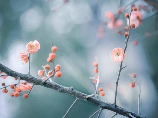 2023�c����ʲô������⣿2023���c����ʲô�r���IЬ