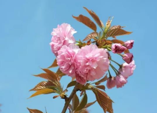 2023�c����ʲô������⣿2023���c����ʲô�r���IЬ