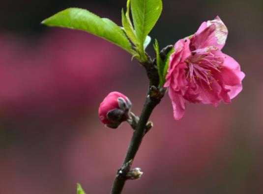 2023�c����ʲô������⣿2023���c����ʲô�r���IЬ