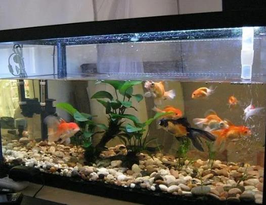 �~�ײ��B(y��ng)ˮ����ֱ�ӷ��~�᣿�B(y��ng)�~��Ŀ��Ը����L(f��ng)ˮ��