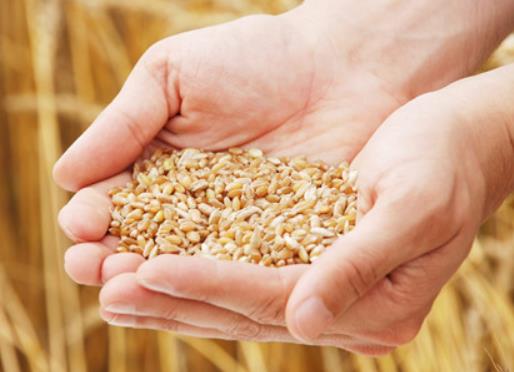 ���ؼZʳ�a�N��ԓ�o�l��2023��Zʳ�a�N�ǰ���߀�ǰ����Ȱl