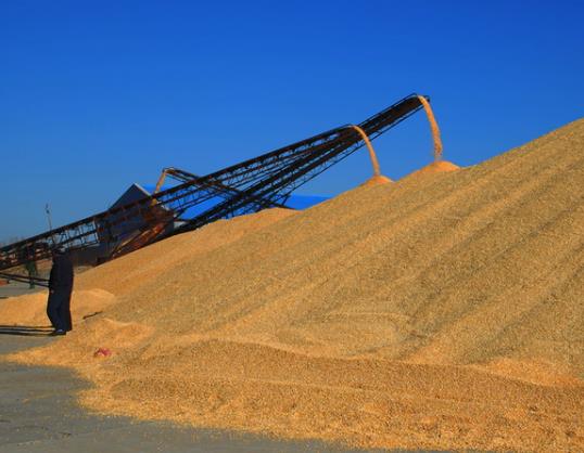 ���سа��o�e�˷N�Z�a�N�o�l���Zʳ�a�N��һ��lһ��߀�ǃɴ�