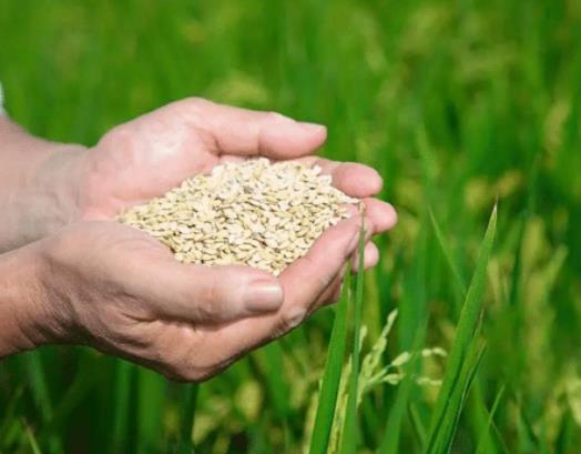 �а�����������мZʳ�a�N�᣿�Zʳ�a�Nȫ�����ض����I��