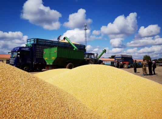 2023��ļZʳ�a�N���ˆ᣿�Zʳ�a�N�ǲ����l�N�ؾͽo�l