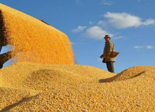 �Zʳ�a�N���Դ�����籣����᣿����Zʳ�a�Nɶ�r����