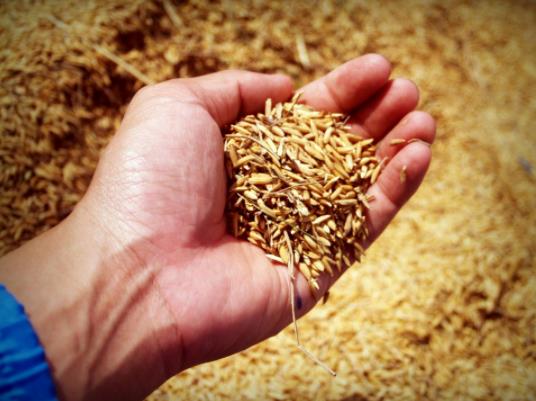 �Zʳ�a�N�l�ŵ����������φ᣿�Zʳ�a�N��һ��ɴΆ�