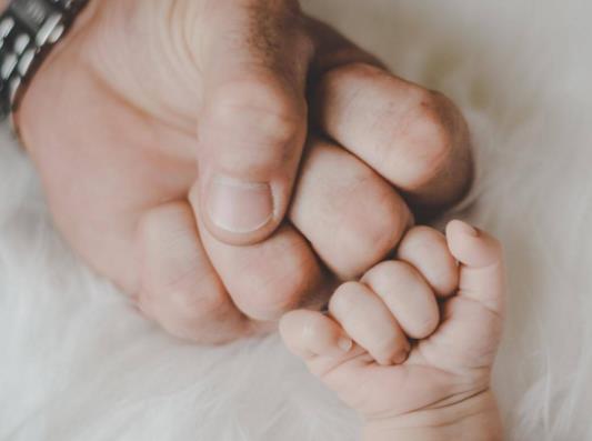 ���ݶ�̥�a�ٶ���������������̥�I܇���a�N��