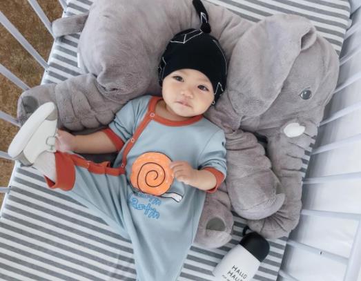 ���ݶ�̥�����I(l��ng)ȡ�������N�᣿��������̥�������a(b��)����