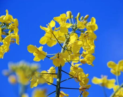 ��Դ�Ͳ˻�������ʲô�r��ȥ��Դ���Ͳ˻���ô����