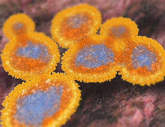 ��������Ⱦ�o؈�᣿�����Ă���;��