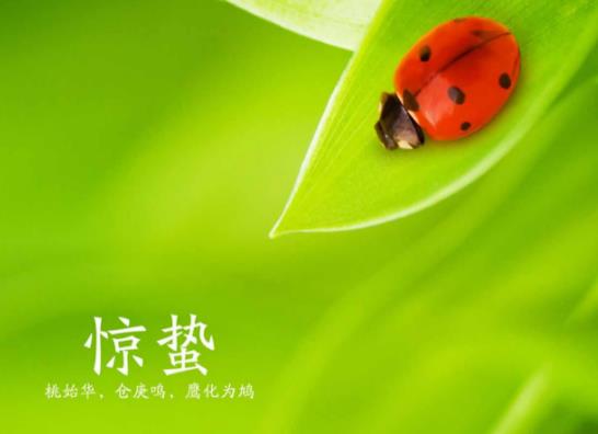 �@�U��ʲôҪ��С�ˣ��@�U��С����ʲô���M