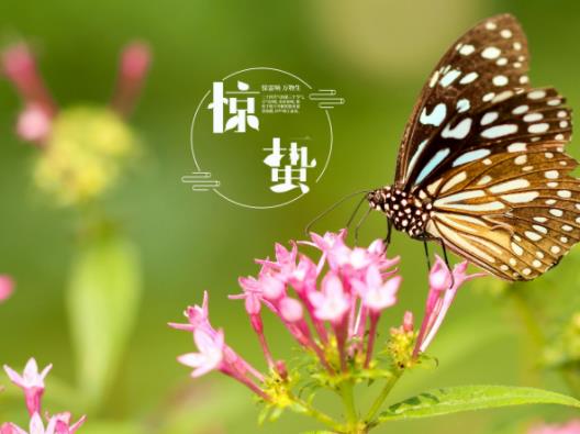 3��6���@�U��δ�С�ˣ�2023�@�U��С�ˎ��c(di��n)犺��m