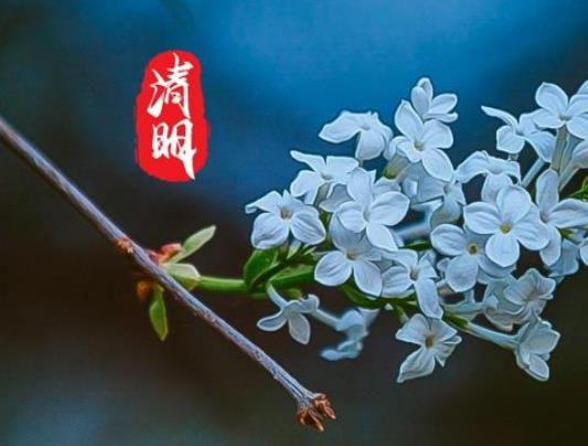 ����ʮ��·�ڟ��꼈�؁�·�����fԒ�᣿����ȥʮ��·�ڟ������cȥ