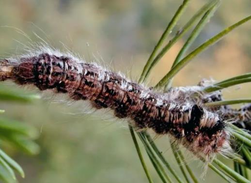 ��ë�x��ʲô�Ǻ��x����ë�x�Ķ����ж��