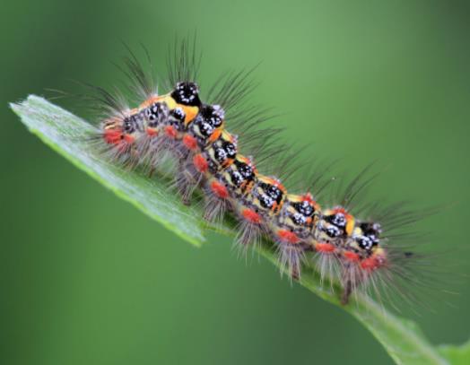 ��ë�x���Ըߜ��ܽ���᣿��ë�x׃�ɺ���߀�Ƕ�