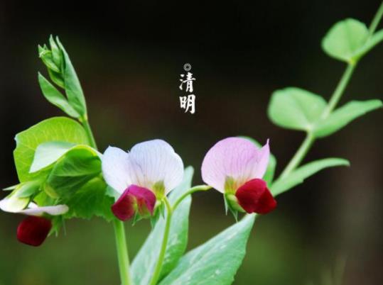 ��ʲô������һ��Ҫ������������������ʲô���M