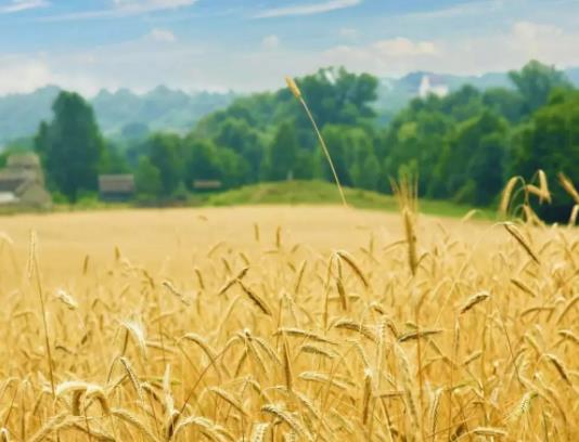 ��һ���g��ʲô�·�������һ��ʲô�·����m