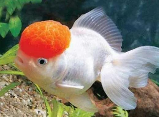 �Lˮ�~�Bʲô�~��ã��Lˮ�~���˕���ؔ��