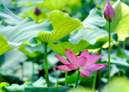 ������һ���Ƕ��ٶȣ������������c����ȸ�߀�ǵ�