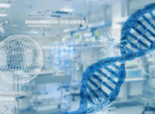 ��һ������z�y��s�����X����ʲô��Ҏ�tԺ�]�л���z�y