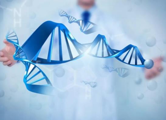 ����z�y�����tԺ��߀��ȥ�C����������z�y��ʲô����ͣ