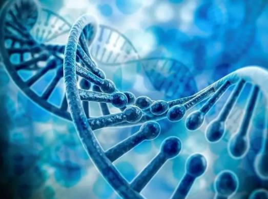 ����z�y����ǰ��߀�Ǒ�����������z�y�Ǚz��ʲô