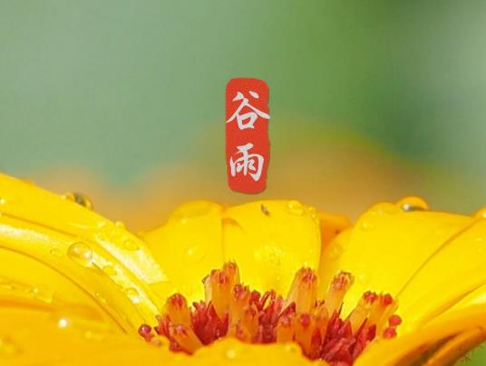 2023������ǎ���̖��2023���������Y��Æ�