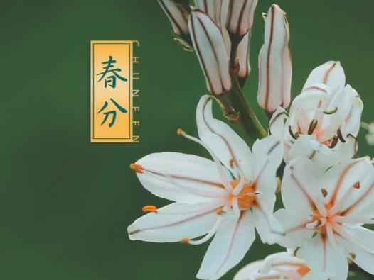 �����u����ô�������������Q�������x��ʲô