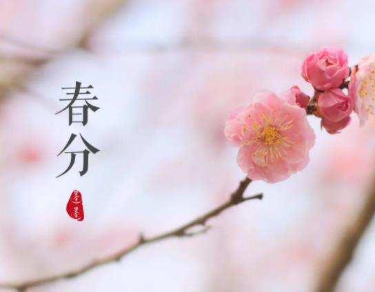 �����Q����ʲôԭ�������������ļ���