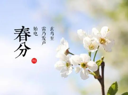 �����Q����ʲôԭ�������������ļ���