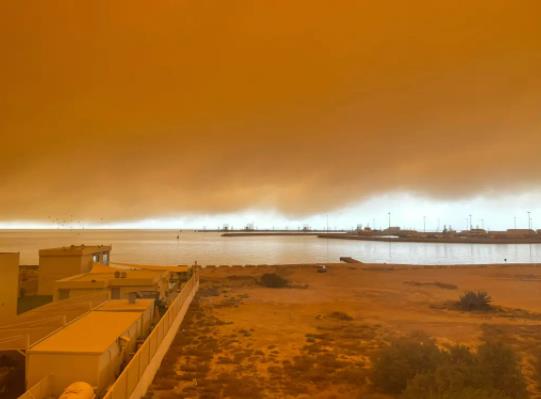 2023��ɳ�m����Ӱ��w�C���w�᣿ɳ�m���Sɫ�A���w�C�������w��