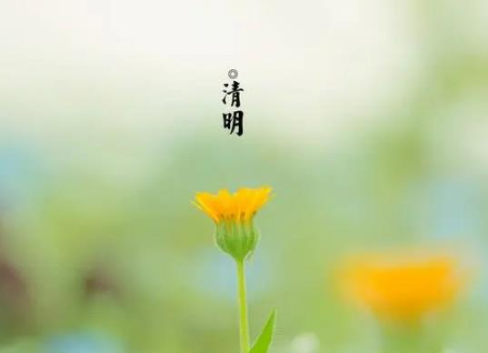 2023����ǰ�����߀���������������2023�������䲻��