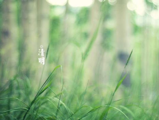 �����������ʲô�v������������Ͳ�������ʲô�^�e��