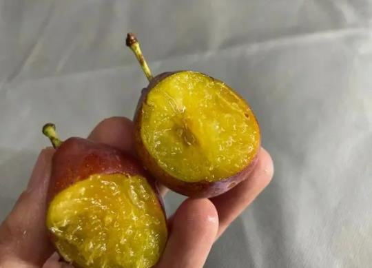 ����÷�ĺ�̎��ʲô����÷�Ǹ���߀�ǵ���ˮ��