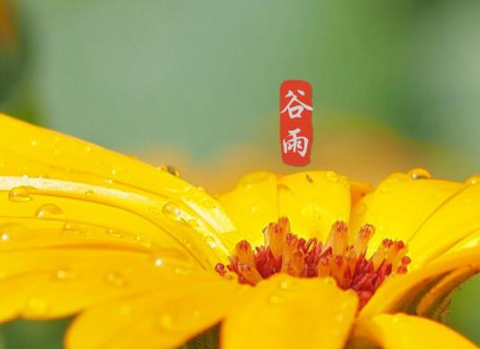 ����֮��߀Ҫ���ã�24�����^���Ă�����Ͳ�����˪��