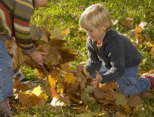 ��Ⱦɫ�w��Ѫ��Ҫ�ո���������45���Ѫ��Ⱦɫ�w����Ů�ʆ�