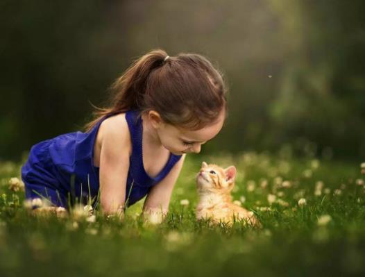 �o��dnaʲô�r��������ѕr�g���o��dna����ô�z���