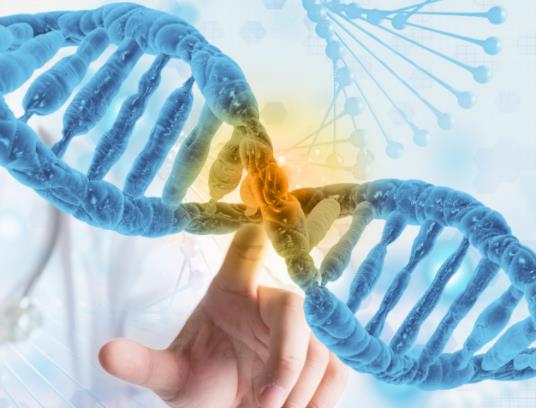 ��ͯ����z�y���M�ô�Ŷ����X����ͯ����z�y�������Ѫ