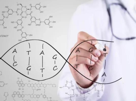 ���ނ��л���z�y�Ŀ����Щ�������\������Щ��;