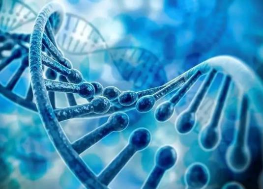 ������ǰ����z�y��ʲô���������\����Կ���Щ��