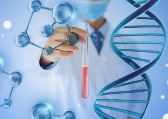 ����z�y���^һ��߀�����ڶ��Ά᣿��һ��(g��)����z�y��s�����X