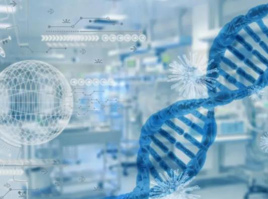 ���ýY���Cԇ���ܳɹ��᣿ԇ�܋냺��Ů�����w�������